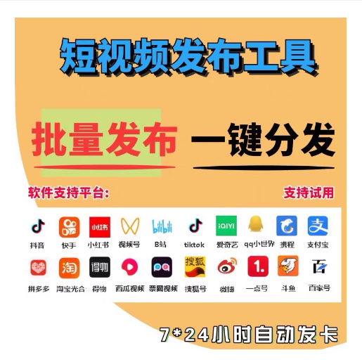 插入的图片